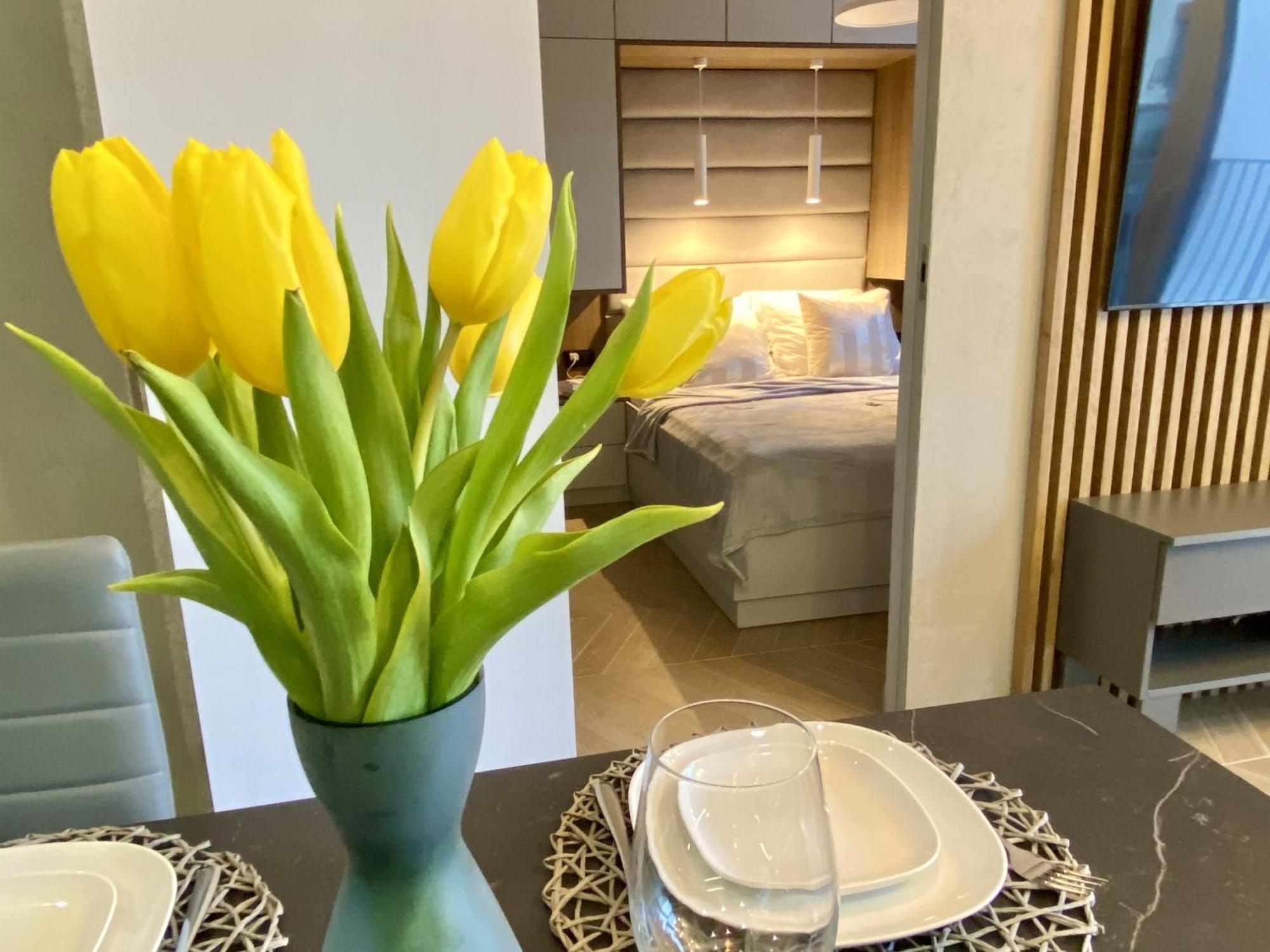 Апартаменти Grey House + Free Parking Вроцлав Екстер'єр фото